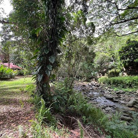 Evasion Bungalow D'Antan Spa Sarramea ภายนอก รูปภาพ