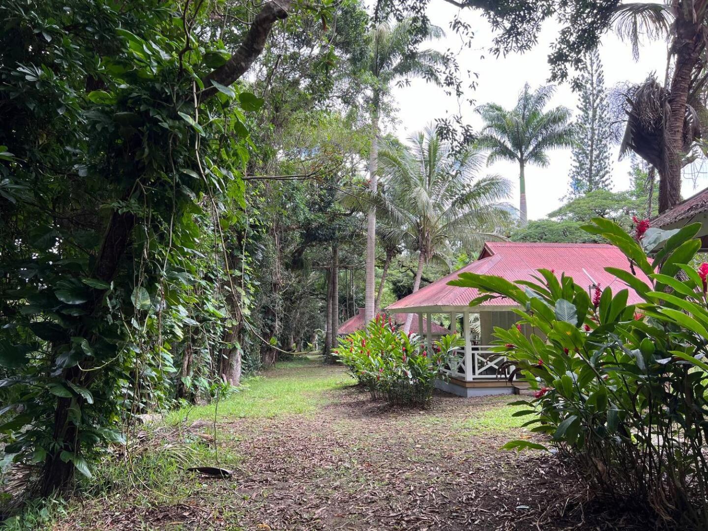 Evasion Bungalow D'Antan Spa Sarramea ภายนอก รูปภาพ